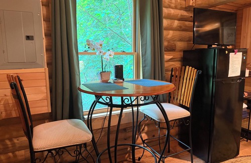 Lake Barcroft Cabin | Tiny House/Log Cabin in beautiful wooded urban setting
