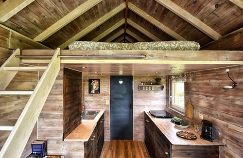 Nieuwmunster House | Tiny in de polders