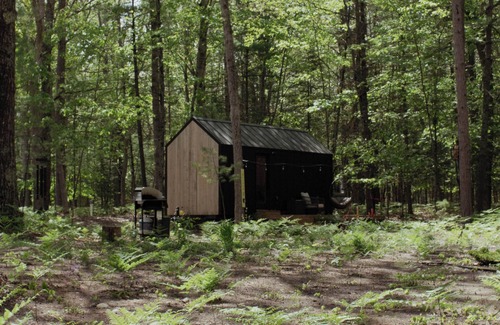 Indian River Cabin | Tiny Meadow