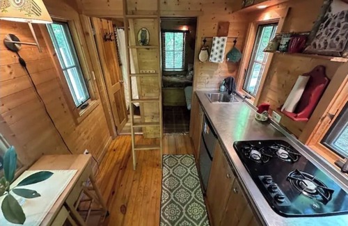 Newport Cabin | Tiny Owl Cabin – Tranquil Forest Retreat with Hot Tub and Creekside Setting