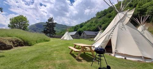 Gedre Other | Tipi nature double