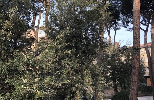 Tirrenia Apartment | Tirrenia apartment 200mt from the sea