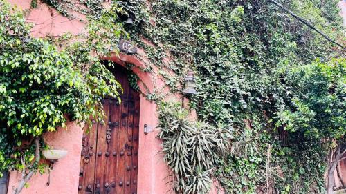 Coyoacan Apartment | Tizapan 05 NEW 1BE&1BA