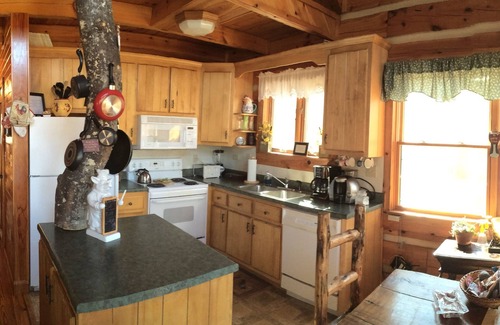 Tellico Plains House | Tlea Farm Mountain Log Cab. 73 Acres of Trails and Horse Paddocks 2 Steams+Lake