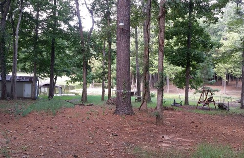 Hemphill House | Toledo Bend Water Front! Nestled on a quiet cove with boat&swimming dock