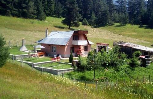 Borino House | Tolem