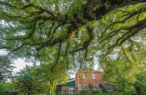 Spiekeroog Apartment | Tolle Ferienwohnung im Osten des Dorfes! Auf ca