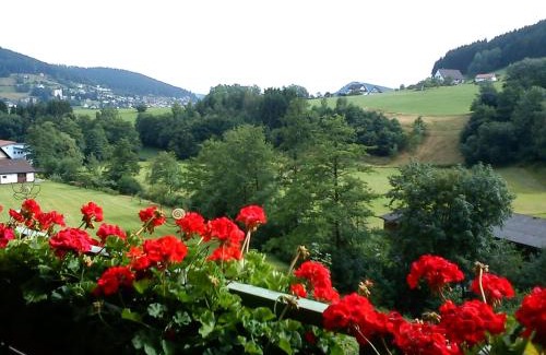 Tonbach Apartment | Tonbachtal