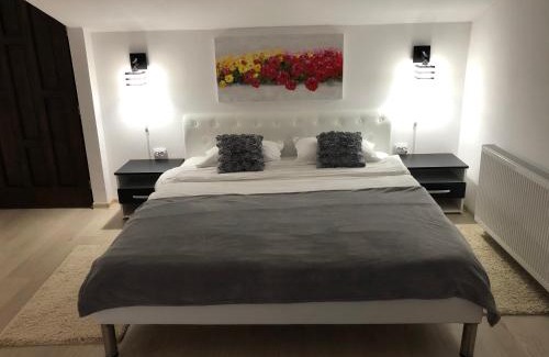 Sighisoara Apartment | Toni Room