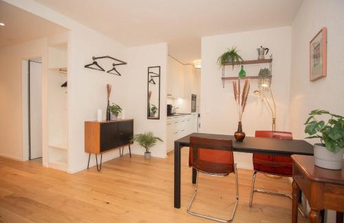 Basel Apartment | Top floor studio with terrace and free BaselCard