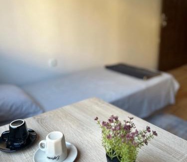 Pleven Apartment | Top Spot Pleven