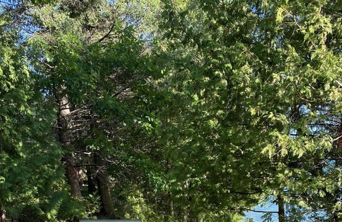 Alden House | Torch Lake Log Cabin, optional Malibu boat rental. Book now August specials!