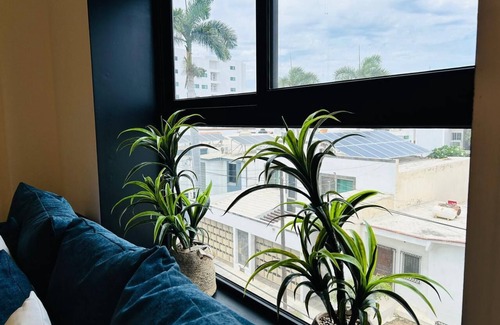 Mazatlan Condo | Torre Q