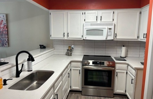 Greenville House | Totally Renovated Townhome-New to VRBO in 2023-Nurses & Monthly Renters Welcome