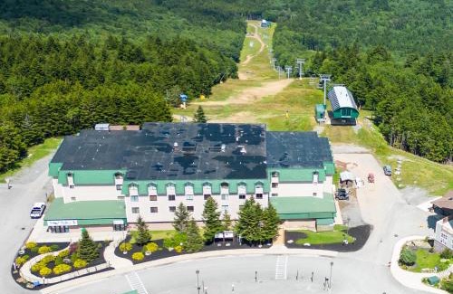 Snowshoe Apartment | TOTW324 Stunning Views Ski In Out WiFi Slopeside