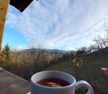 Moieciu Ski Chalet | Touch the Sky