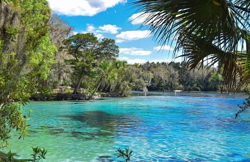 Seville House | Tourist-Friendly Environment With! A Short Distance to The St. Augustine Zoo!