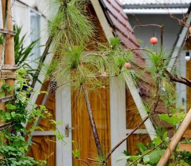 Hue House | Trầm Homestay