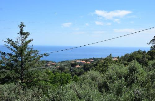 Varazze Apartment | Tra gli ulivi da Giacinta