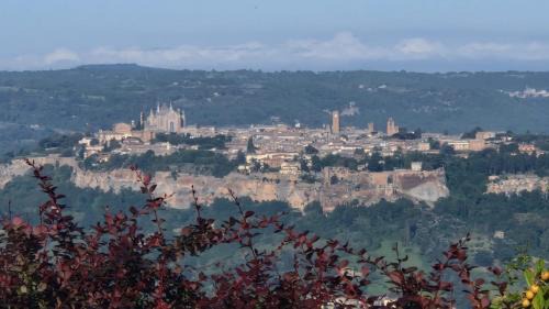 Orvieto House | Tra gli ulivi e il panorama