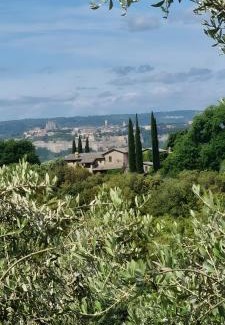 Orvieto House | Tra gli ulivi e il panorama