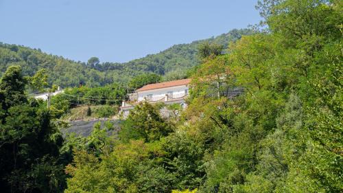 Pucara Apartment | tra Sole e Limoni Apartments