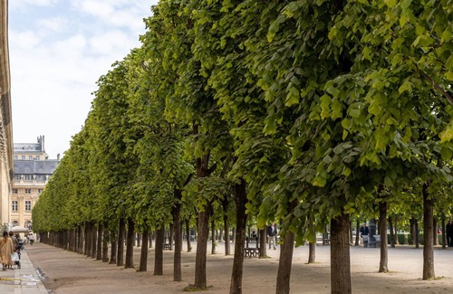 Gaillon Apartment | Tracing the Tuileries, by Veeve