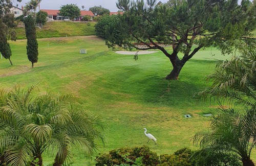 Solana Beach House | Track, Tee and Sea! On the Green, 7 min to Del Mar Race Track & beaches