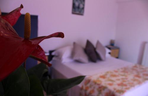 Pucara Apartment | Tramonti Green