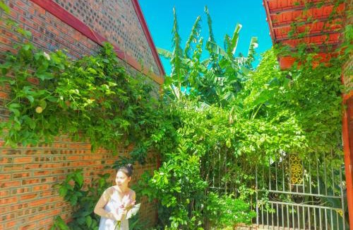 Hoa Lu Cabin | Trang An Family Homestay