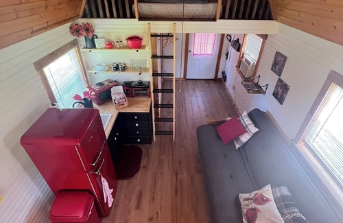 Cassville RV Rental | Tranquil Retreat: Charming Pet-Friendly Tiny House Cabin Amidst Nature's Beauty!