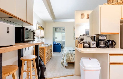 Pass-a-Grille Historic District Condo | Tranquil setting one bedroom condo on Pass a grille beach