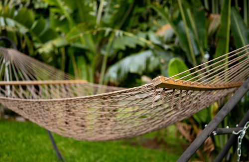 Southwest Ranches House | Tranquil, Tropical Guest House with Heated Spa