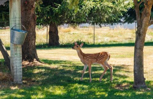 Dalton Gardens House | Tranquility Base - Family Fun Modern Farm House