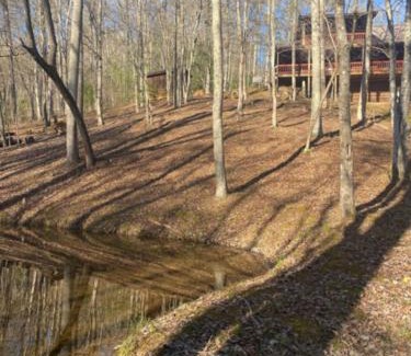 My Mountain House | Tranquility Pond
