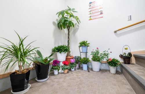 Kawaguchi House | Travel Palace Miyuki (Yomiuri Shimbun)/Vacation STAY 5734