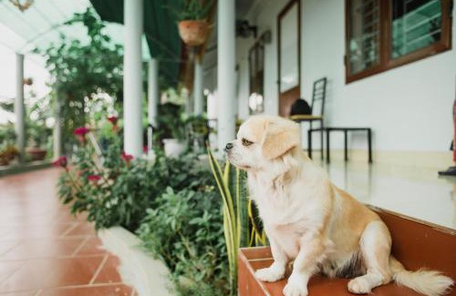 Ninh Binh House | Tre Xanh Homestay