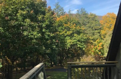 Saugerties Apartment | Tree-House Apartment in the Catskill Mountains