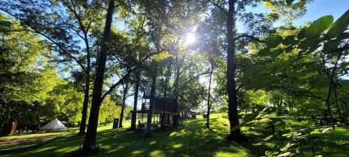 Eureka Springs House | Tree House Glamping Destination near the Ozarks, with River Access for Swimming and Fishing