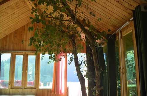 Banjar Cabin | Tree House