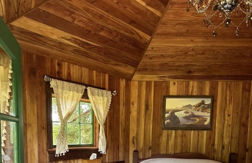 Trinidad House | Tree House Master