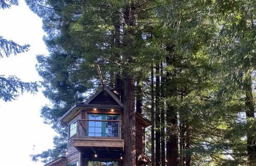 Trinidad House | Tree House Master