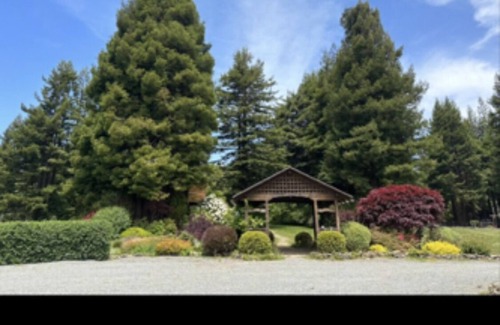Trinidad House | Tree House Master