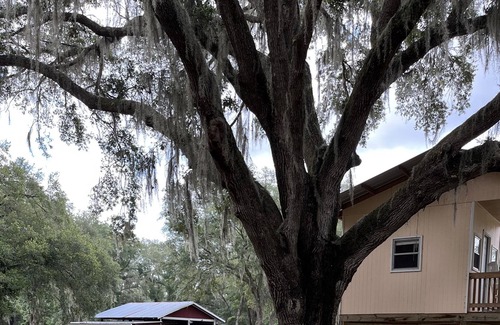 Dunnellon Cottage | TREE HOUSE! OFF THE GRID STAY! 10 minutes to Rainbow River 20 minutes to WEC