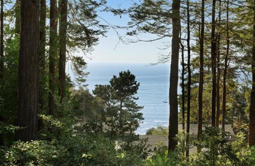 Sea Ranch House | Tree House