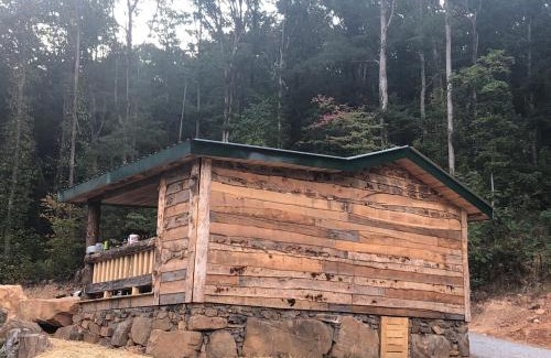 Trenton House | Tree top View 15