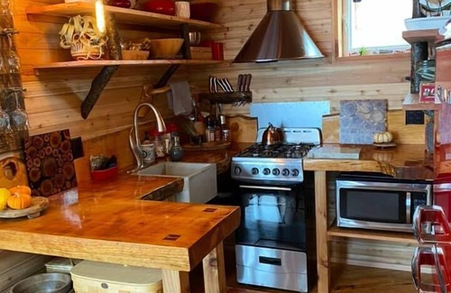 Port Angeles House | Treehouse over the water - Eagle's Nest