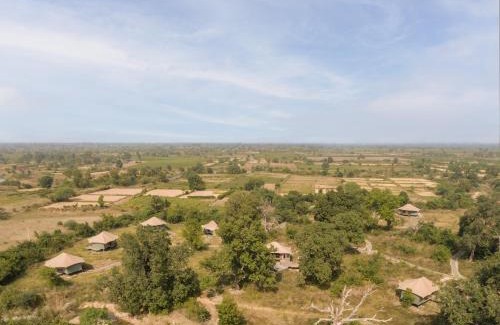 Chimur Hotel | Trees N Tigers, Tadoba