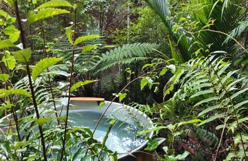 Punakaiki House | Treescapes - Rainforest Hot Tub 2km from Punakaiki