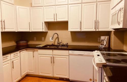 Powderhorn Apartment | Treetop Apartment in the Heart of MPLS